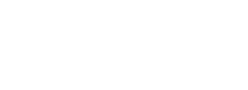 Boxis White Logo